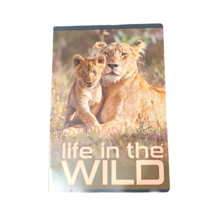 PAPETARIE - CAIETE A5 48F DICTANDO