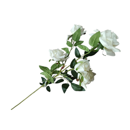 NeoSysApi - Fir trandafir cu 5 capete 25N 7-23