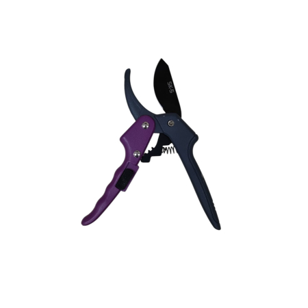 NeoSysApi - Foarfeca vie 25D 23-12