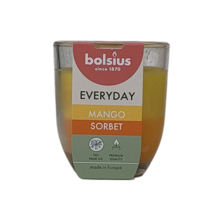 CANDELE - LUMANARE PARFUMATA 2 CULORI MANGO