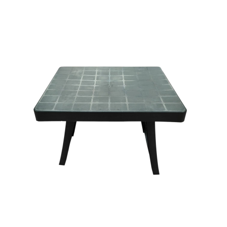 GRADINA - MASA PLIABILA PT PICNIC