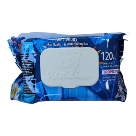 Import - PAPILION SERVETELE UMEDE STANDARD CU CAPAC 120buc