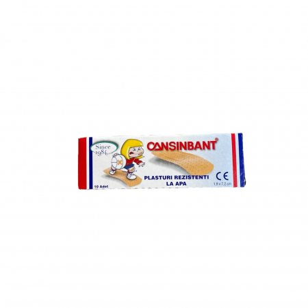 PRODUSE UZ CASNIC SI MENAJ - PLASTURI
