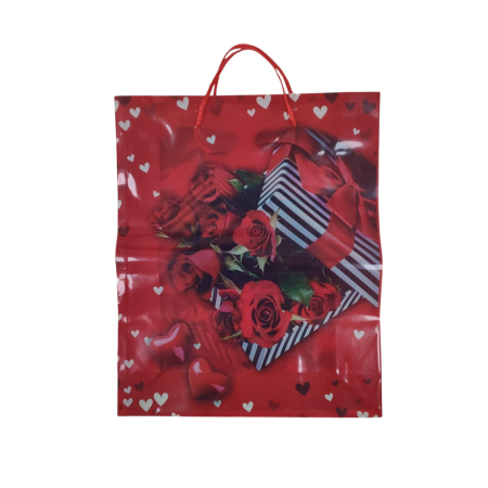 NeoSysApi - Punga cadou 5.2(33x27x9cm)