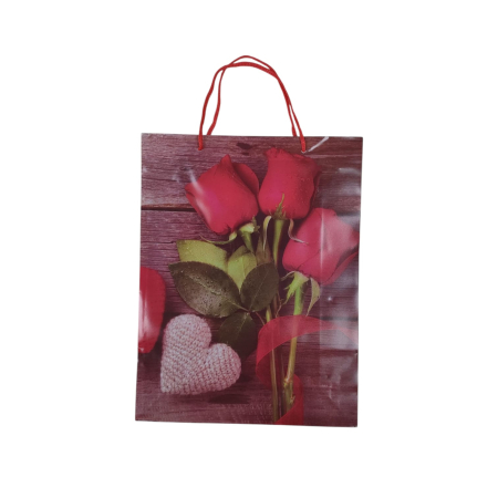 NeoSysApi - Punga cadou 5.3 (30x23x8cm)