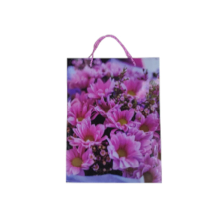 NeoSysApi - Punga cadou 5.4(24x18x7cm)