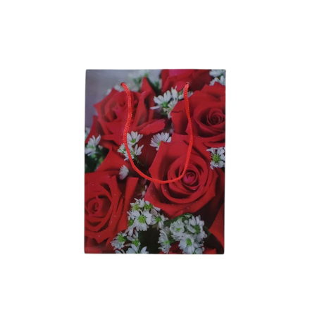 NeoSysApi - Punga cadou 5.5(17x13x6cm)