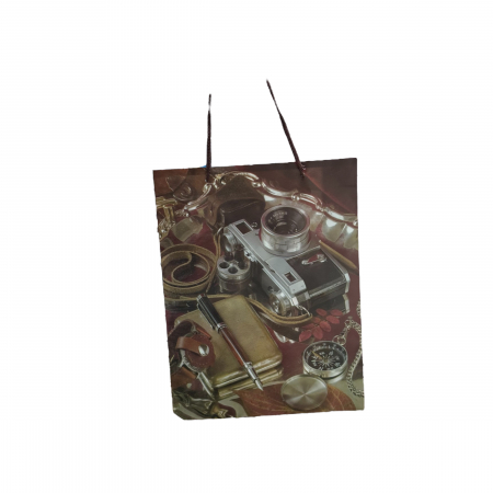 JUCARII SI ACCESORII PETRECERE - PUNGI CADOU 6-2 (23X30)