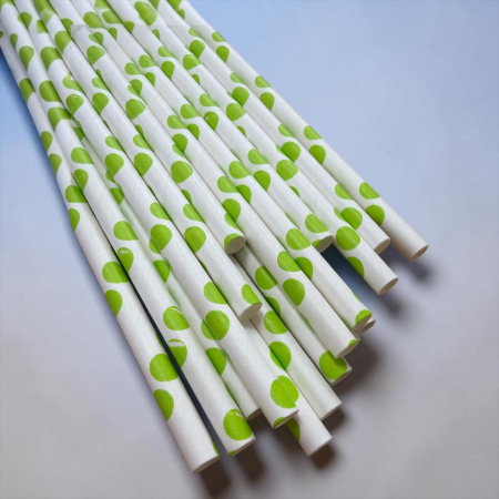 NeoSys - Set 20 paie din carton 26I 1-20