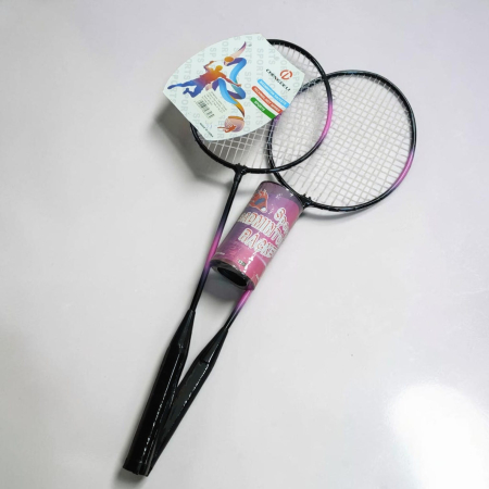 JUCARII - Set badminton, 2 rachete, 2 fluturasi M10.4