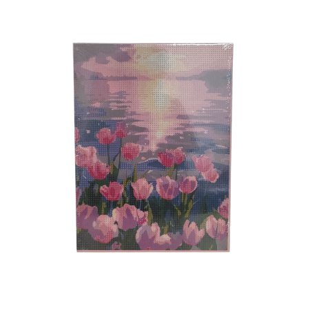 NeoSysApi - Set de broderie 5D, 30*40cm 25M 14-23