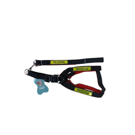 ACCESORII ANIMALE - Set Ham si Lesa pentru Caini 20mm*1.2m 25J 14-6