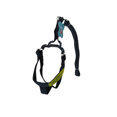 ACCESORII ANIMALE - Set Ham si Lesa pentru Caini 25mm*1.2m 25J 14-7