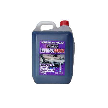 CHIMICALE - SOLUTIE SPALARE PARBRIZ 5L-30 grade