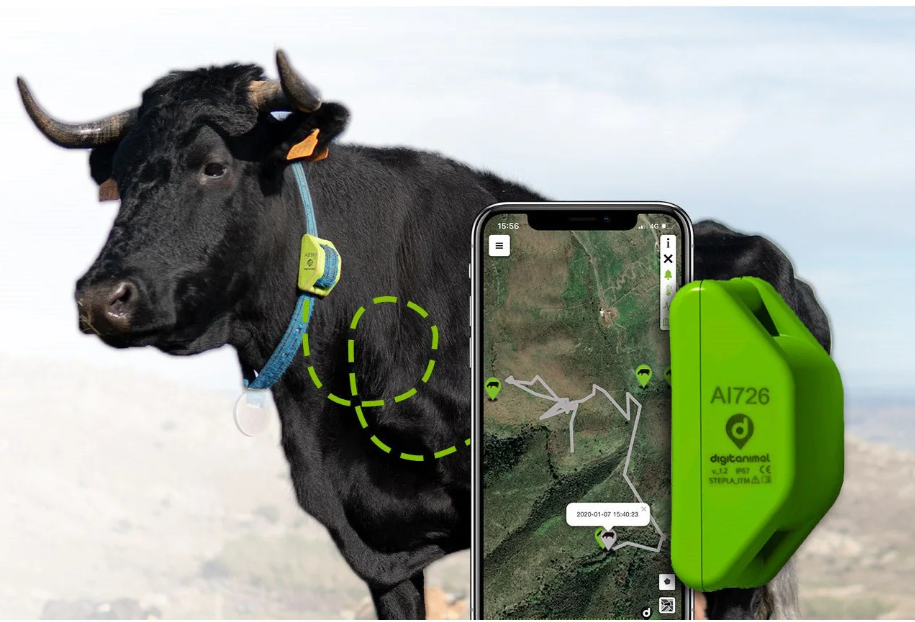 DigiAnimal GPS nyakörv állatok nyomon követésére és helymeghatározására [1]