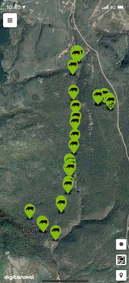 DigiAnimal GPS nyakörv állatok nyomon követésére és helymeghatározására [12]