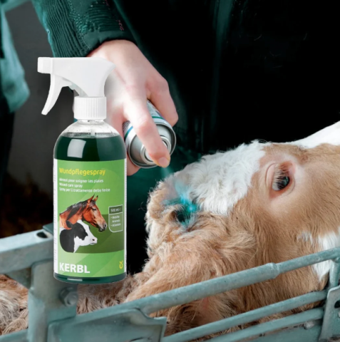 Állatápolás - Seb- és bőrápoló spray állatok számára – felületi sérülések ápolására