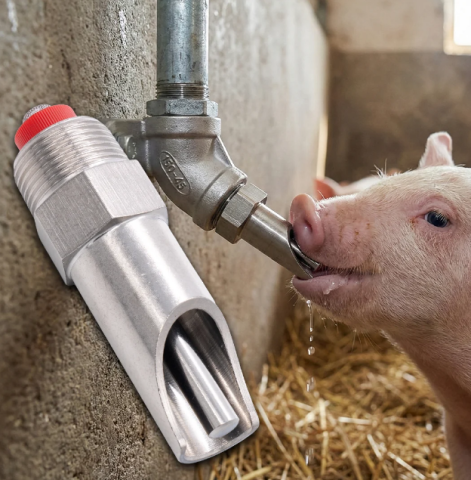 Állatitatók - FARMA nagyméretű rozsdamentes sertésitató szelep – 3/4″