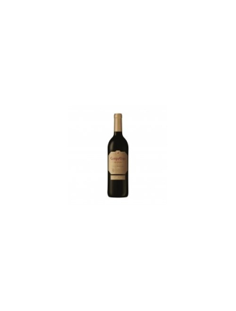Vinuri speciale - Campo Viejo Gran Reserva