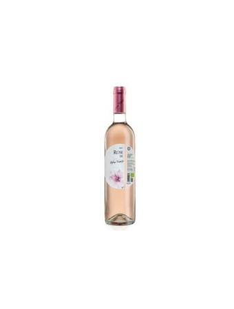 Vinuri Rose - Rose Petro Vaselo