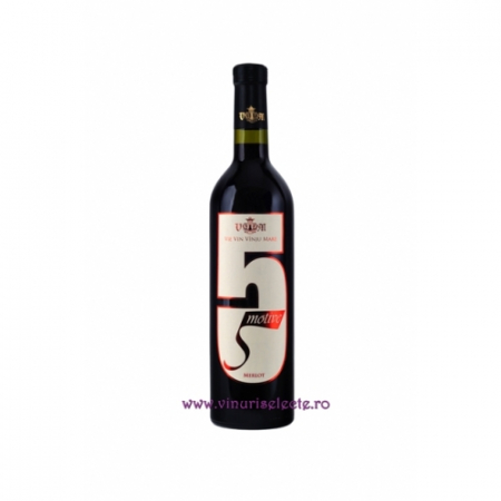 2000-2009 - 5 Motive Merlot 2008