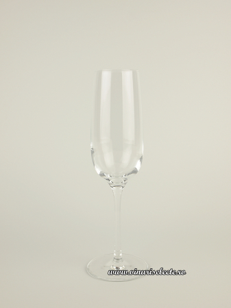 Pahare - Set 6 pahare Champagne Wienland 200 ml - Stolze Germany - Cristal 100%