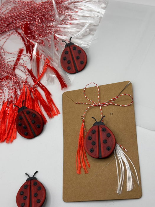 Mărțișor buburuză printat 3D cu broșă | 1 Martie [3]