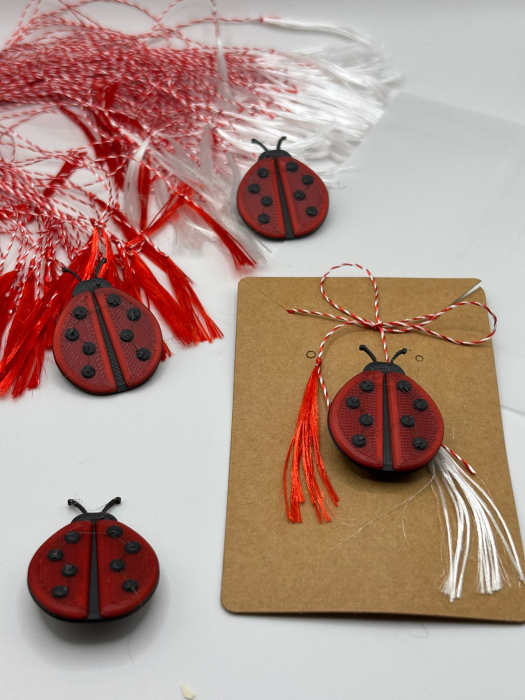 Mărțișor buburuză printat 3D cu broșă | 1 Martie [2]