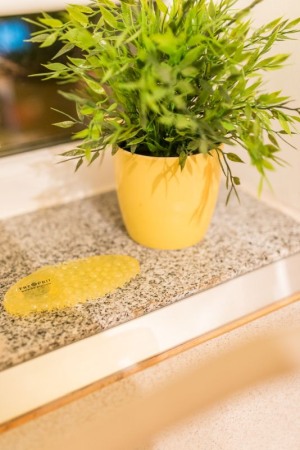 Odorizant Remind Spiced Citrus [1]