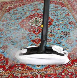 Tecnovap Curatitor cu abur Evo 304 DET [8]