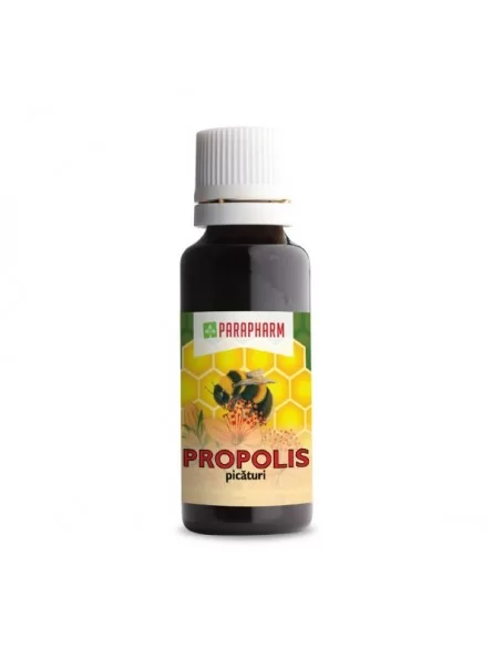 Produse naturiste, terapeutice - Propolis picaturi 30ml Parapharm
