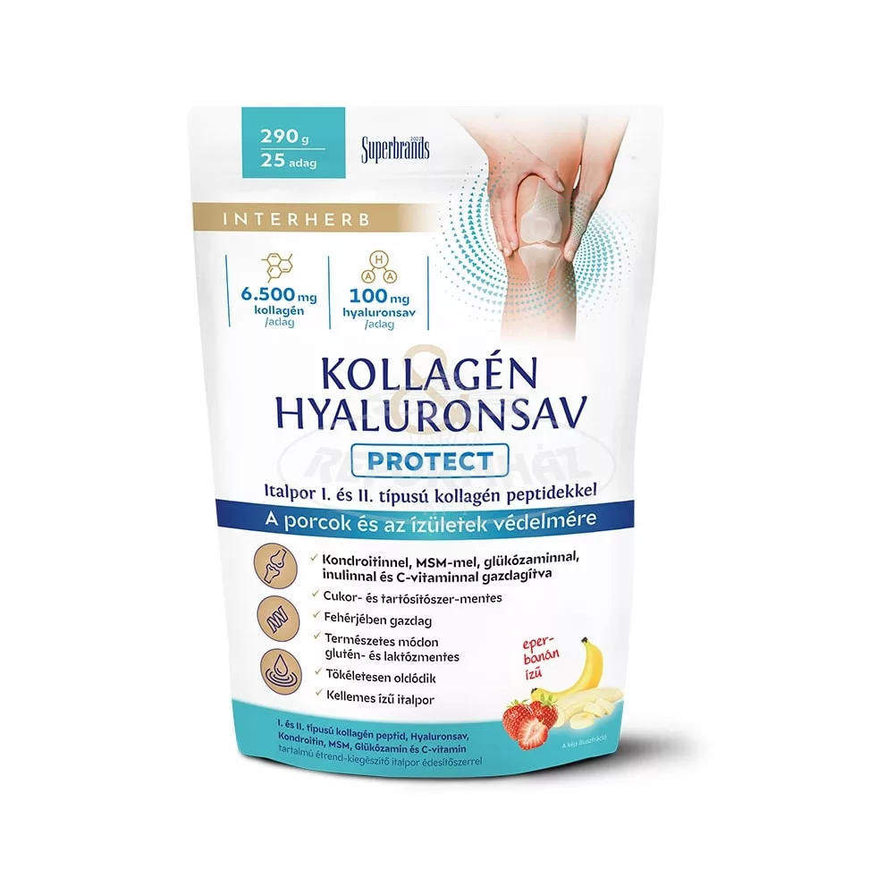 Produse - Pulbere pentru susținerea articulațiilor cu colagen si hyaluron 290G Interherb