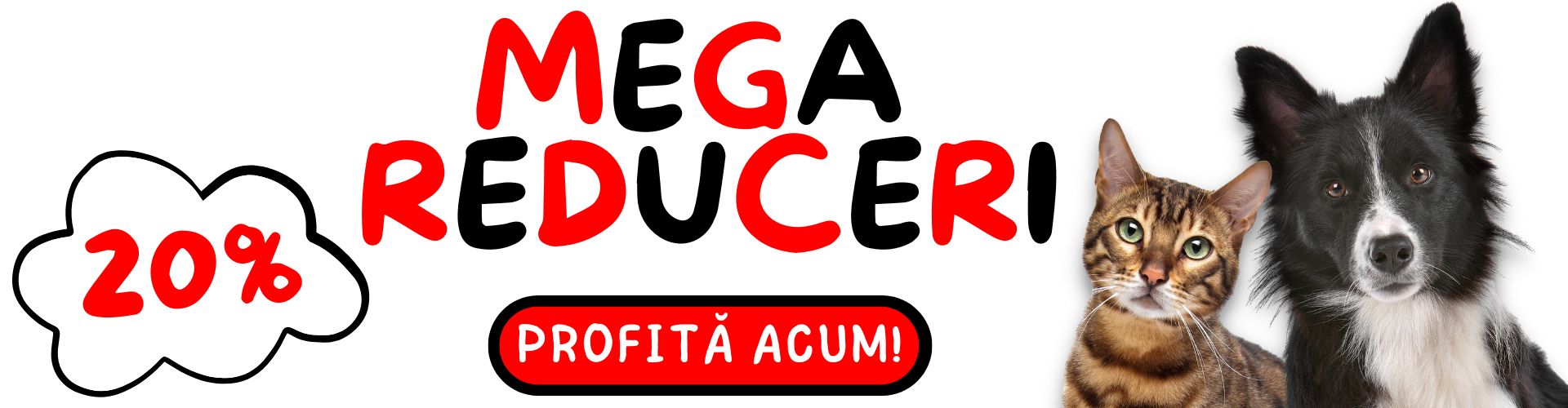 discount 20%