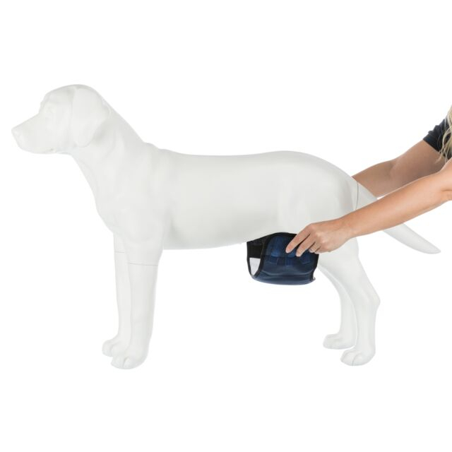 Banda (Incontinenta Urinara) Pentru Caini Masculi, XL: 65-75 cm, Albastru, 23665 [5]
