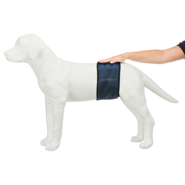 Banda (Incontinenta Urinara) Pentru Caini Masculi, XL: 65-75 cm, Albastru, 23665 [7]