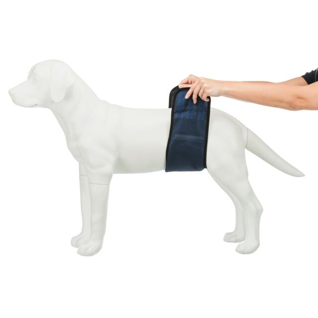 Banda (Incontinenta Urinara) Pentru Caini Masculi, XL: 65-75 cm, Albastru, 23665 [6]