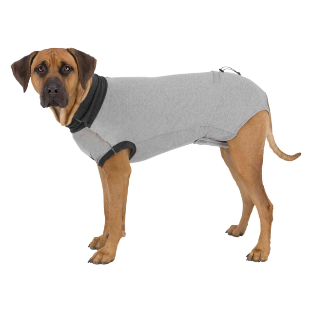 Body Protectie Pentru Caini, L-XL: 62 cm, Gri, 19538 [2]
