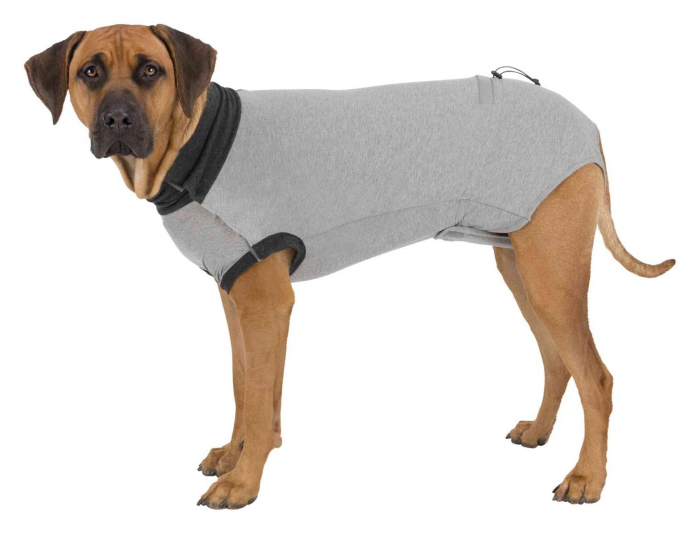Body Protectie Pentru Caini, L-XL: 62 cm, Gri, 19538 [4]