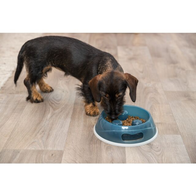 Castron Plastic Pentru Hranire Lenta 1.5 l/27 cm, Diverse Culori, 25033 [6]