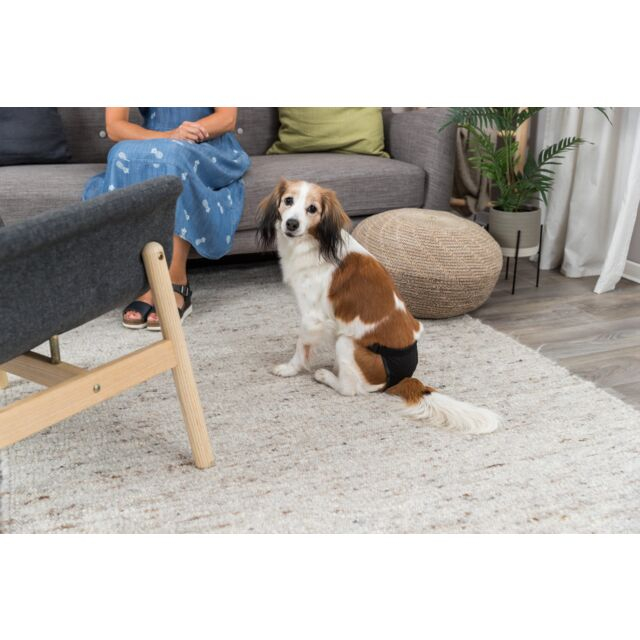 Chiloti Protectivi Pentru Caini, XL: 60-70 cm, Negru 23495	 [5]