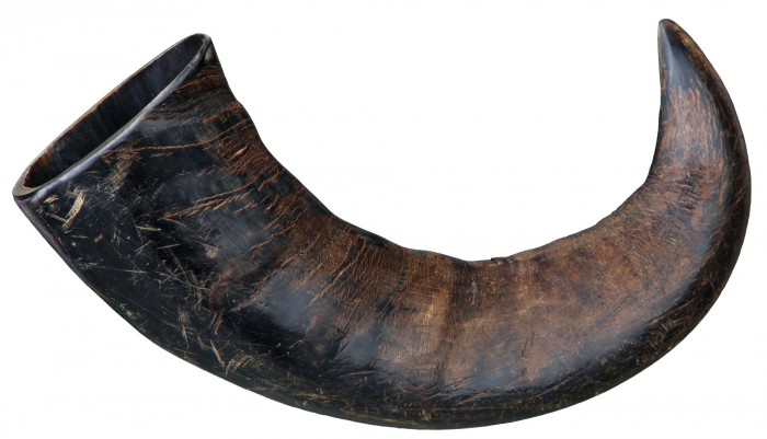 Corn Natural Mare de Bivol 27743 [2]