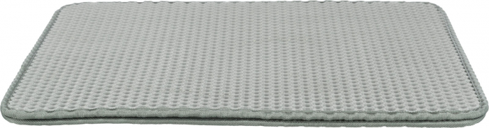 Covoras In Fata Litierei, Colector, EVA, 40 x 70cm, Gri, 40365 [2]