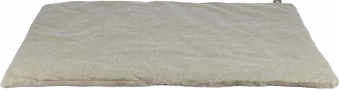 Covoras Xmas Luciano, 90 x 70 cm, Bej/Auriu, 92412 [2]