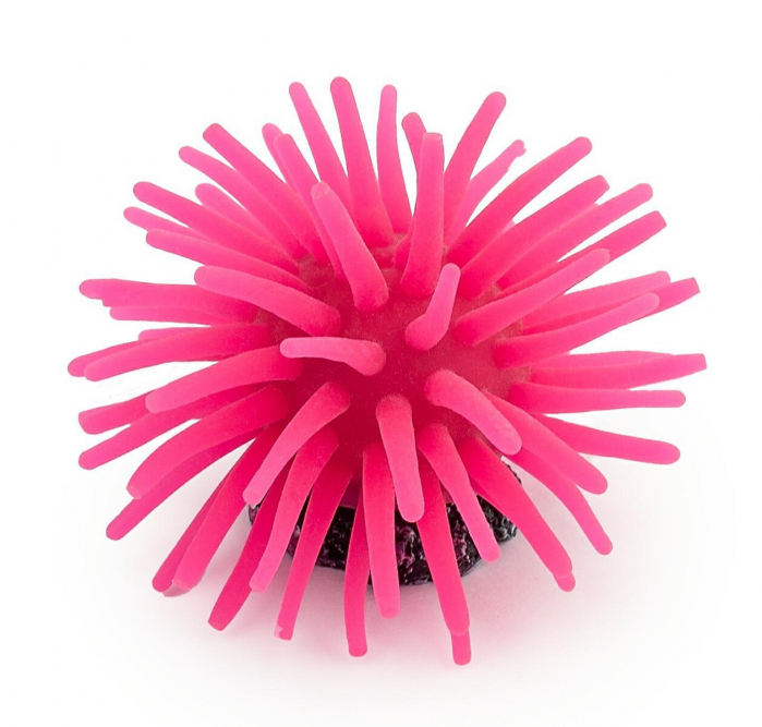 Decor Pentru Acvariu, Coral, 5x5x4 cm, R117 [2]