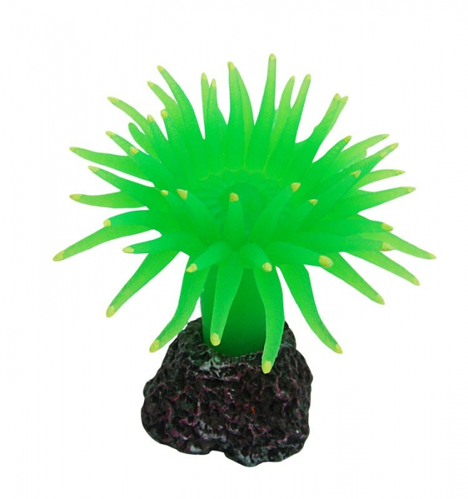 Decor Pentru Acvariu, Coral, 8 cm, R082 [2]