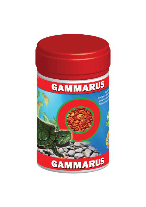Exo Gammarus 120 ml Cutie [2]