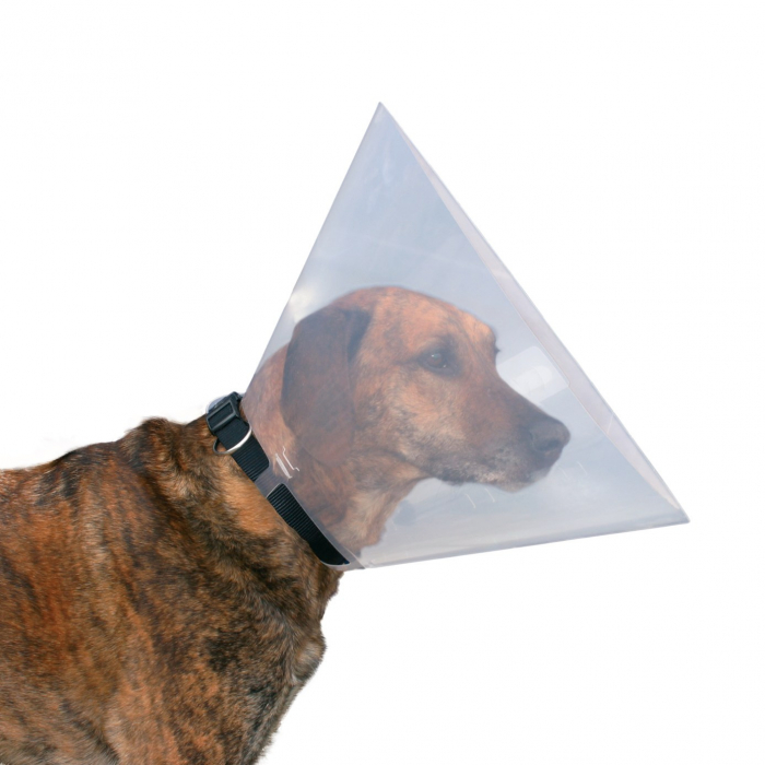 Guler Protector, Plastic, XS-S: 22-25 cm/10 cm, Transparent, 19481	 [4]