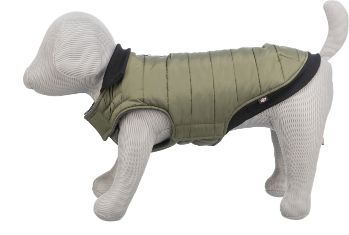  Hainuta Arlay, XS: 30 cm, Verde Inchis, 680304 [7]