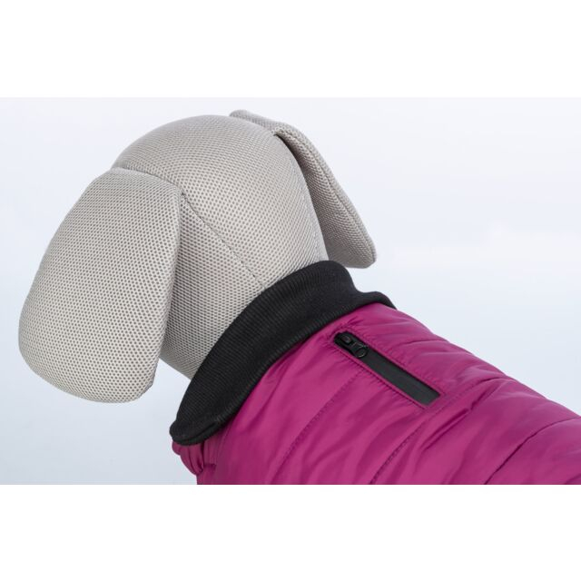  Hainuta Arlay, XS: 30 cm, Visiniu, 680334 [3]