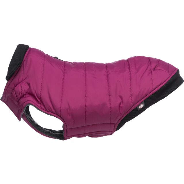  Hainuta Arlay, XS: 30 cm, Visiniu, 680334 [8]
